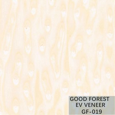 Veneer Gỗ Kỹ Thuật Eye's Burl dày 0.15-0.55 mm cho Thiết Kế Khách Sạn GF-019/609/219/209/809/009