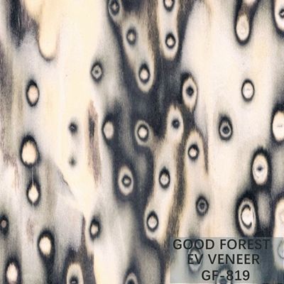 Veneer gỗ kỹ thuật Tree Burl Wood Veneer EV 2500 * 640 mm Kích thước