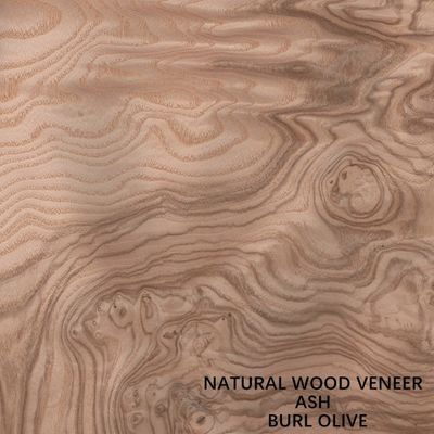 Không bình thường tự nhiên trắng Ash gỗ veneer Burl Olive AA Grade For Wall Covering Thickness 0.5mm