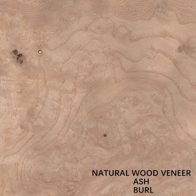 Hotel Natural White Ash Veneer Gỗ Burl Độ dày hạt 0,55mm Giá tốt để trang trí khách sạn Trung Quốc Bán buôn