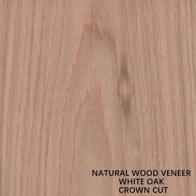 Gỗ Veneer Gỗ Sồi Tự Nhiên Mỹ Cắt Phẳng Vương Miện Cắt Hạt AAA Độ Dày 0.5-0.55mm Cho Mặt Tủ Trung Quốc