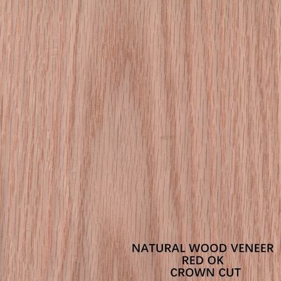 Ván ép gỗ sồi đỏ Crown Cut Grain Aaa lớp 0,5mm cho mặt và cửa nội thất