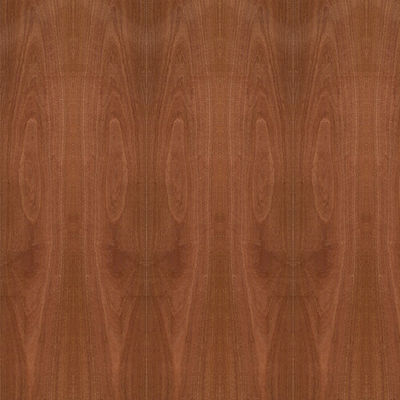 Ván ép Fancy Gỗ Sapele tự nhiên Veneer Crown Grain 5 / 9 / 12 / 15 / 18 / 25 / 30mm
