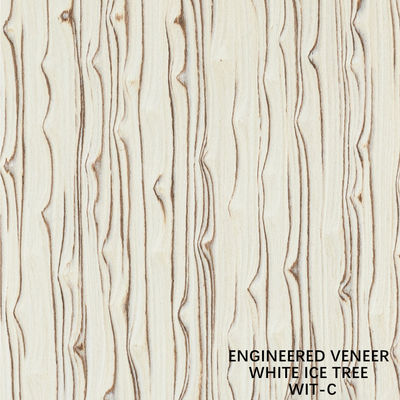 Mô phỏng gỗ Bạch cầu cây băng veneer 3100mm nội thất trang trí bảng