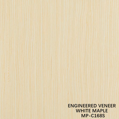 Fancy tái hợp gỗ veneer trắng Maple 168S hạt thẳng cho nội thất xe hơi